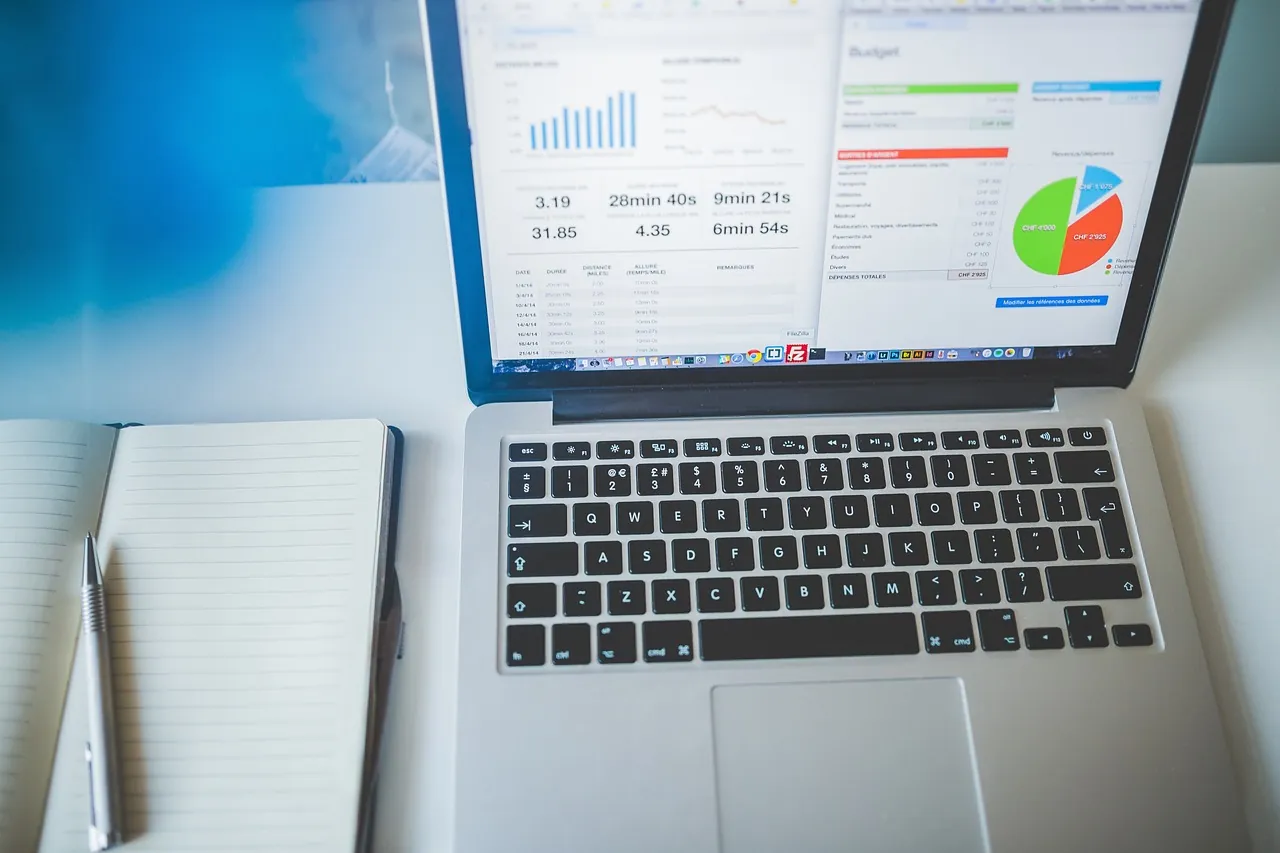 Controlling-Software mit Finanzcharts und Ausgabenanalyse auf dem Laptop-Bildschirm